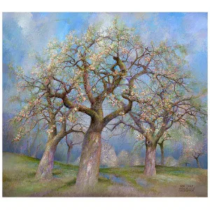 Appelboogaard in bloei