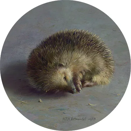 Art Circle, Henk Helmantel, Het egeltje, V