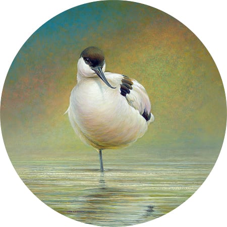 Art Circle, Erik van Ommen, Kluut, V