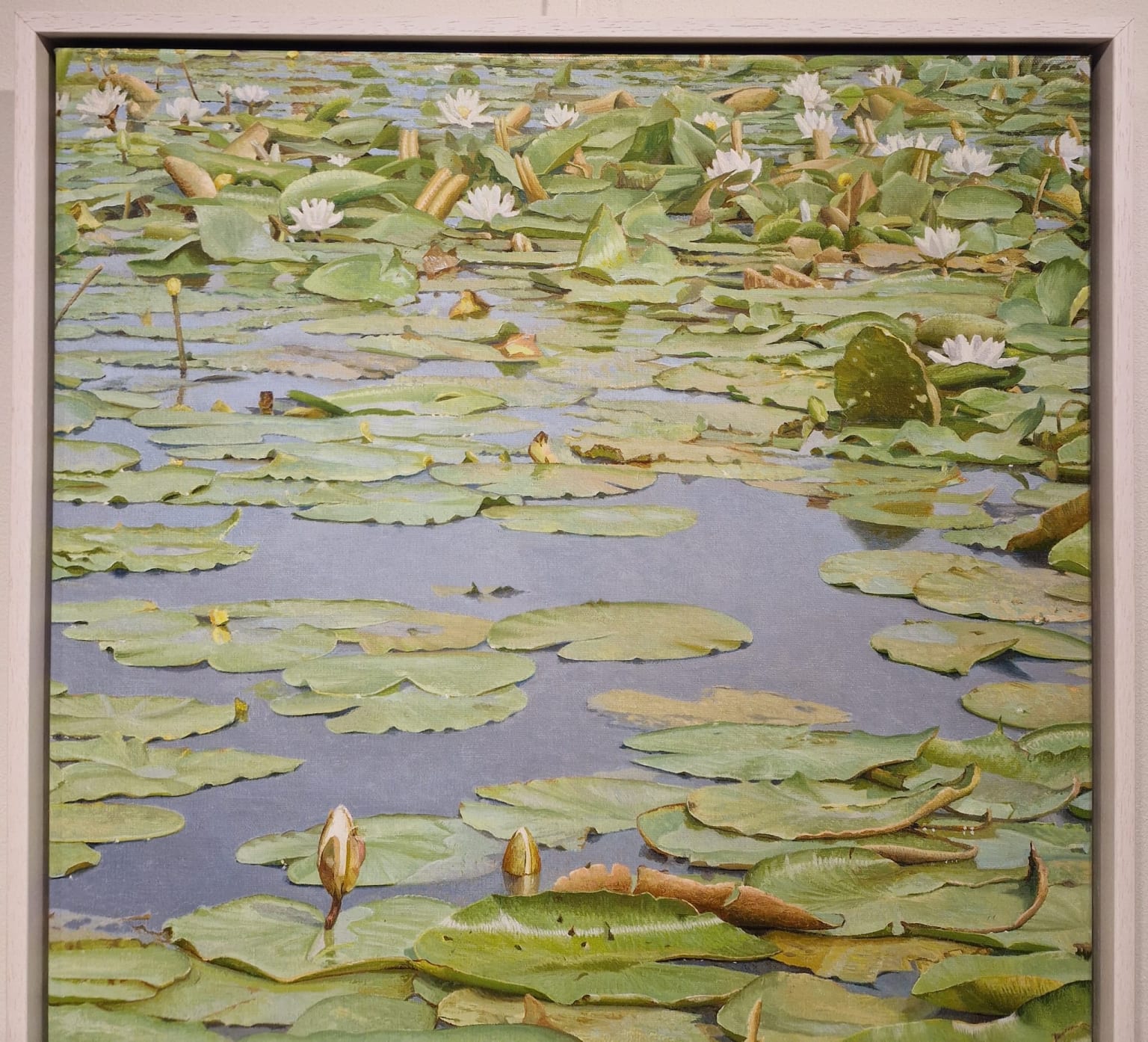 Joke Frima, Waterlelies bij de Ronde Hoep, detail LG