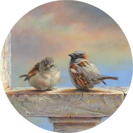 ArtCircle, Erik van Ommen, Mussen, V