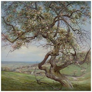 Bloeiende appelboom, Voerstreek