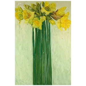 Narcissen
