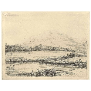 Visser in berglandschap