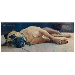 Gijsje (de 'galeriehond')