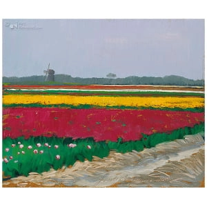 Tulpenveld bij Callantsoog