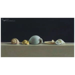 Schelpen stilleven