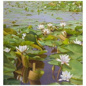 Uit de zwarte modder opgestegen