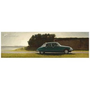 Snoekebek in de Wieringermeer