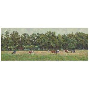 De dames van de Danckerse weg