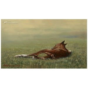 Femke, de eerste levensminuten van een veulen 1