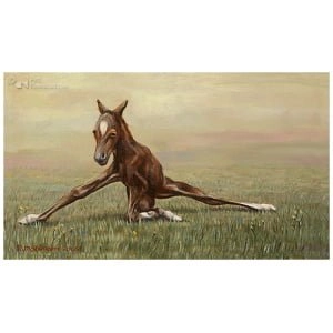 Femke, de eerste levensminuten van een veulen 4