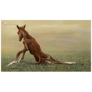 Femke, de eerste levensminuten van een veulen 5