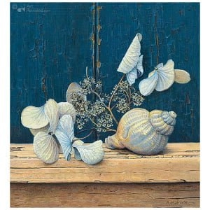 Schelp met hortensia