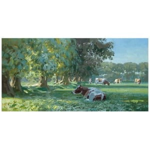 Koeien bij bomenrij in ochtendlicht