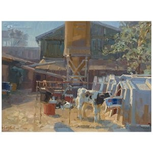 Kalveren op binnenplaats