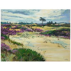 Kale Duinen of Aekingerzand, Appelscha