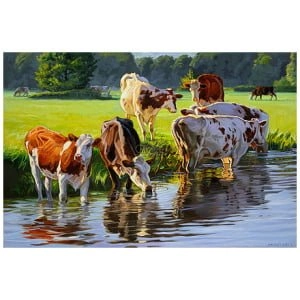 Roodbont vee langs de rivier