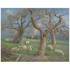 Schapen in de boomgaard