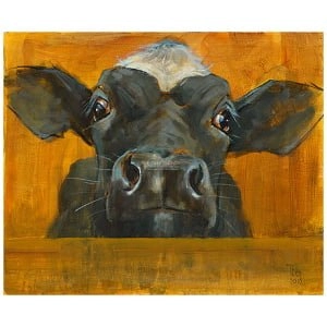 Nieuwsgierig kalf tegen goud