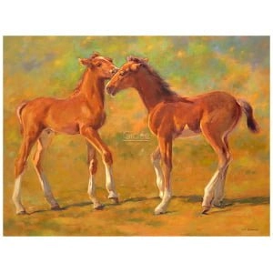 Twee speelse jonge veulens