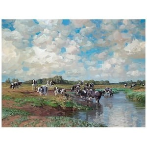 Koeien zoeken verkoeling in de rivier