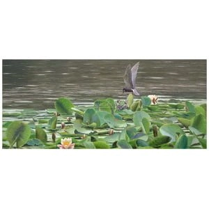 een vogel die over waterlelies in een vijver vliegt