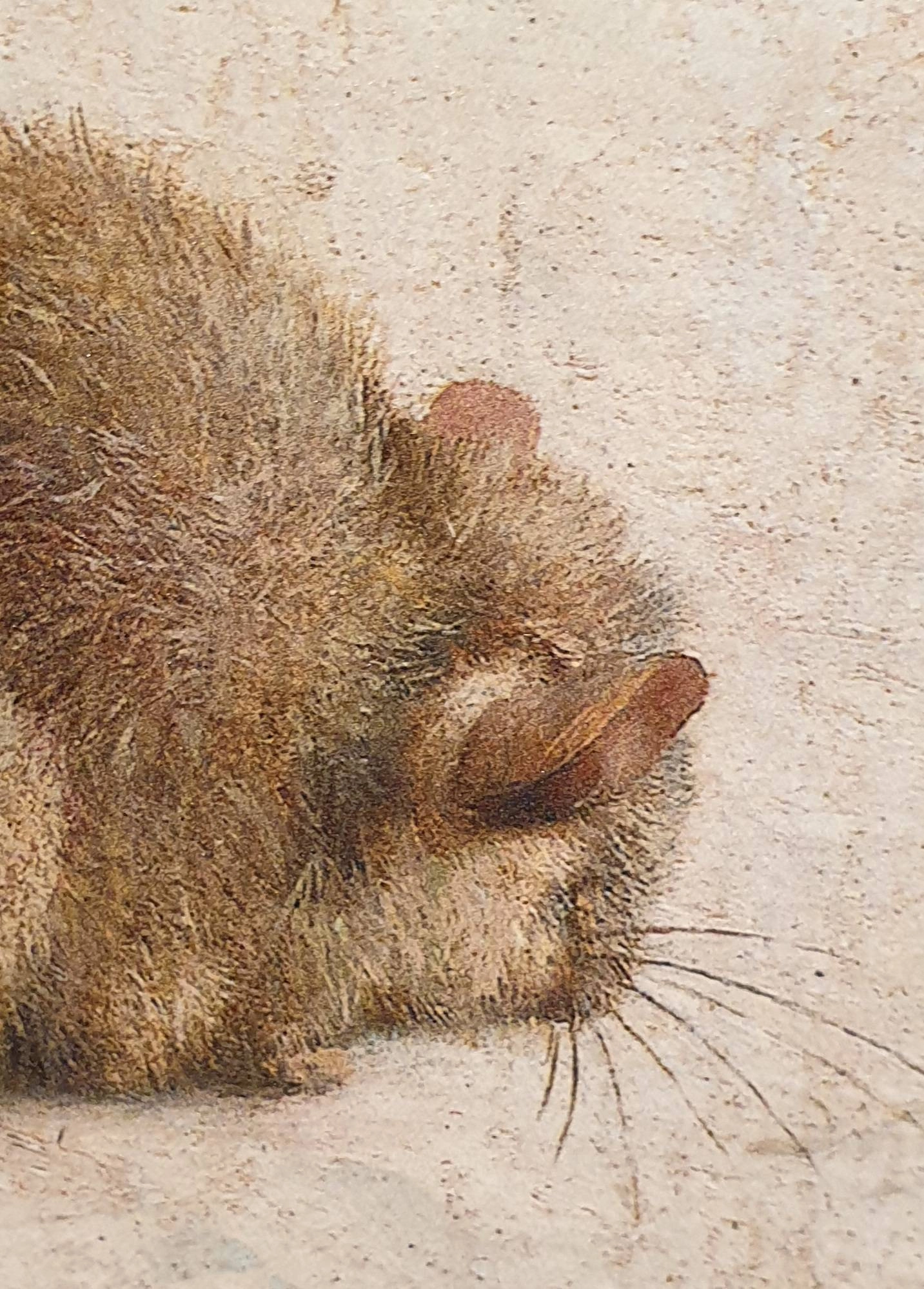 een schilderij van een harig dier dat op de grond ligt