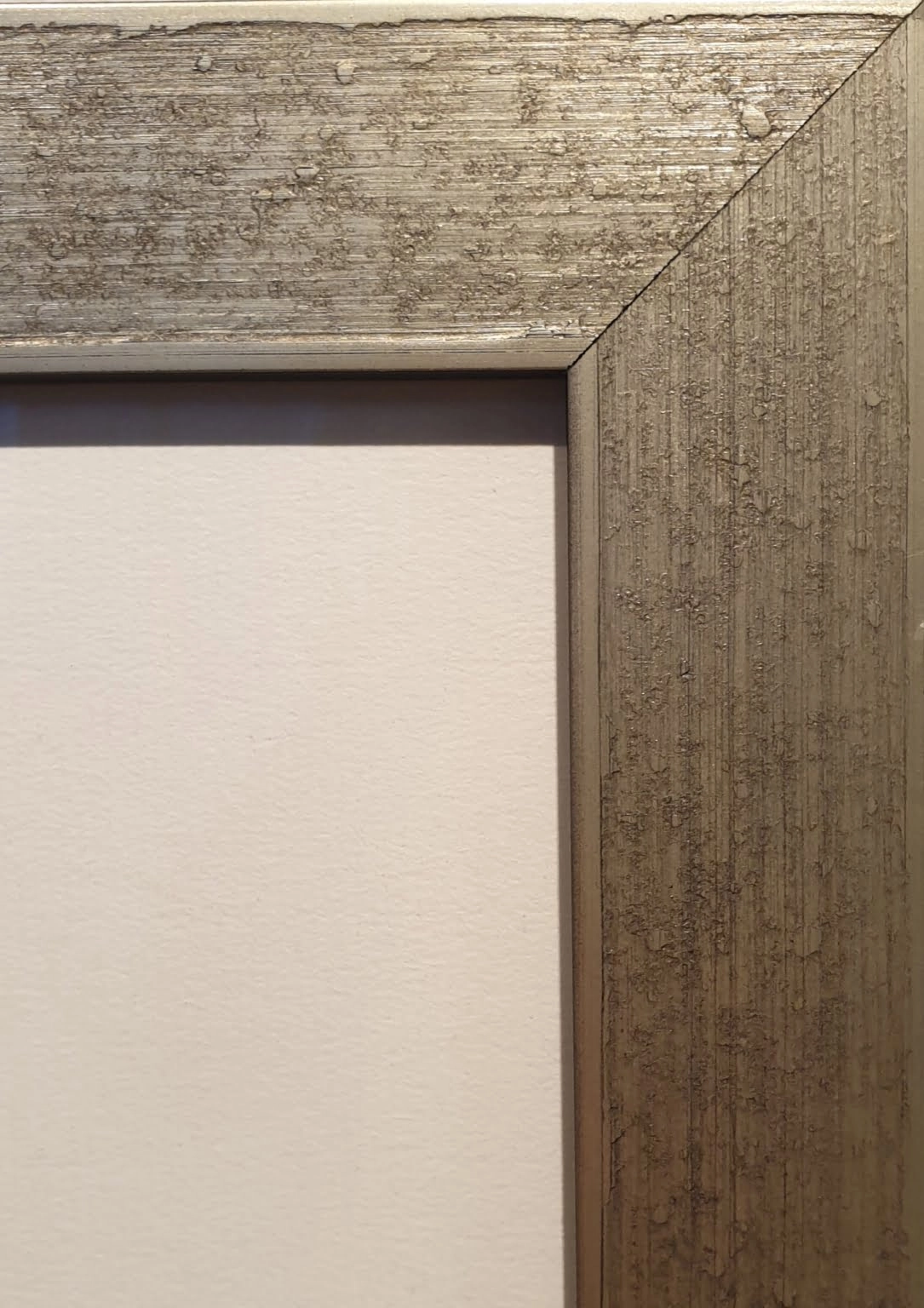 een kat zittend op de rand van een vensterbank