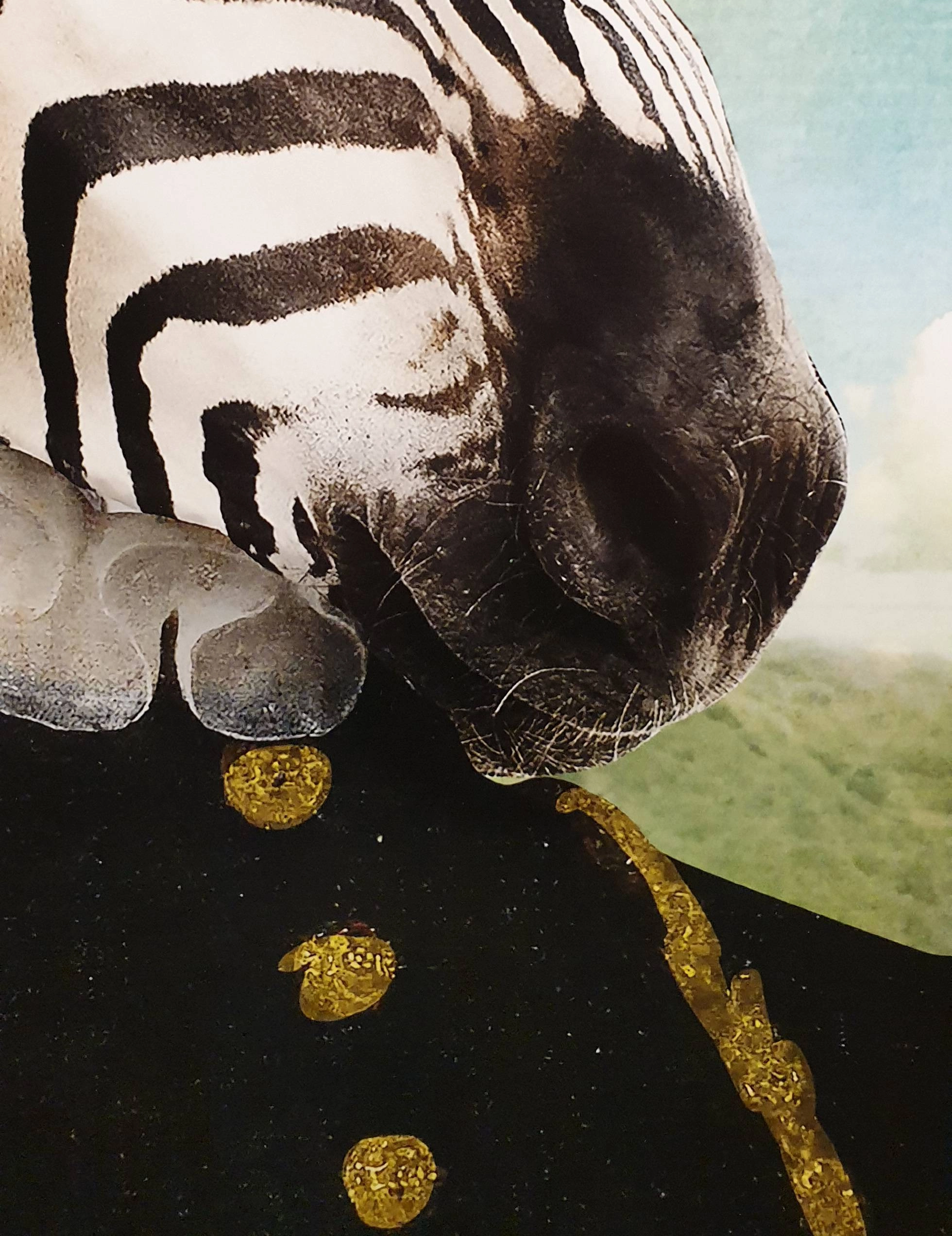 een close-up van een zebra die met gouden munten ligt