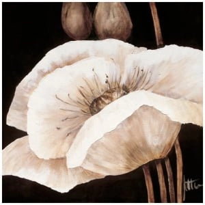 een schilderij van twee witte bloemen op een zwarte achtergrond