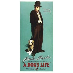 een filmposter over het hondenleven