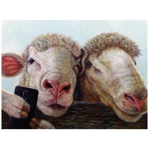 twee schapen kijken over een hek naar de camera