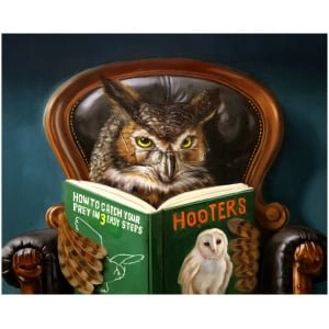 een uil die in een stoel een boek zit te lezen