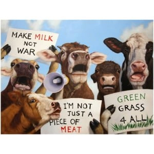 een groep koeien met bordjes met woorden erop