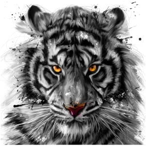 een zwart-wit tekening van het gezicht van een tijger