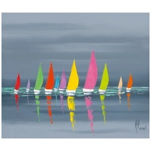 een rij kleurrijke zeilboten die op een watermassa drijven