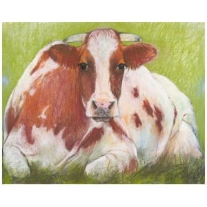 een tekening van een bruin-witte koe die in het gras ligt