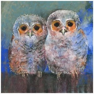 twee uilen die op elkaar zitten