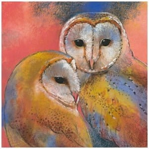 twee uilen die op elkaar zitten