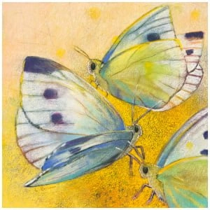 drie vlinders die op elkaar zitten