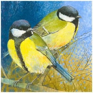 twee vogels zitten bovenop een boomtak