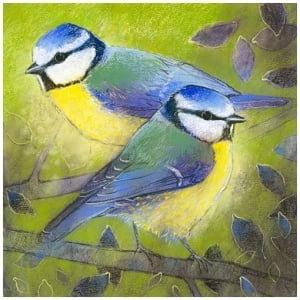 twee blauwe vogels zitten bovenop een boomtak