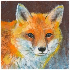 een tekening van een rode vos met blauwe ogen