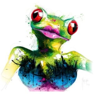 een kleurrijke kikker met grote rode ogen zitten