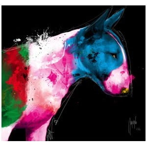 op een zwarte achtergrond wordt een kleurrijke hond getoond