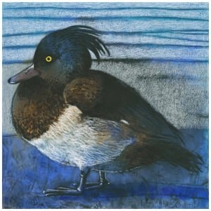 een tekening van een eend die op de grond zit