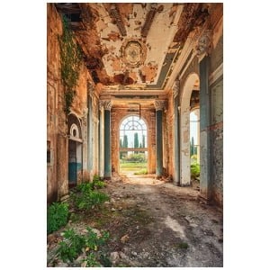 een verlaten gebouw met veel ramen en klimop op de muren