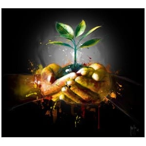 twee handen die een plant met vlekken erop vasthouden