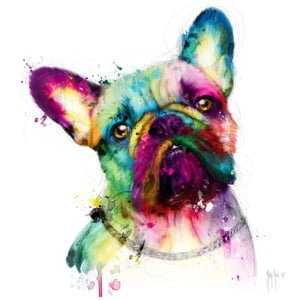 een kleurrijke hond met een halsband om zijn nek